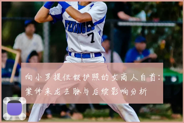 向小罗提供假护照的女商人自首：案件来龙去脉与后续影响分析