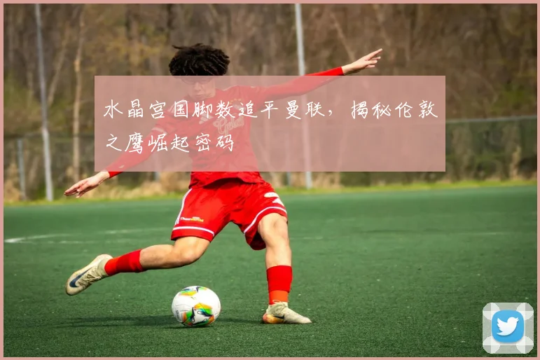 水晶宫国脚数追平曼联，揭秘伦敦之鹰崛起密码